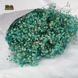 Otras Flores y Plantas Decorativas, Flores de Gypsophila <span class=keywords><strong>Preservadas</strong></span> Coloridas, 1 KG por Ramo - Product Image 2
