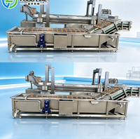 Bellenwasmachine met wervelstroomhulpwassing voor hard fruit zoals sinaasappels
