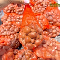 Sac en filet pour oignon rouge, sac en filet en plastique extrudé pour légumes et fruits