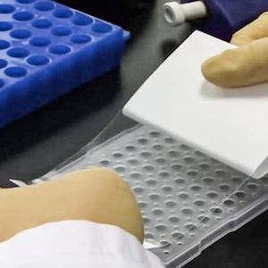 Película de Sellado para Placas de PCR, Consumibles de Laboratorio de Primera Calidad, Película de Plástico para Microplacas de 96 Pocillos - Product Image 6