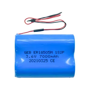 Li-baterai ER 18505M 3.9V 7Ah Baterai Li-SO2Cl2 Litium Utama 3.6V 7000MAh 1S2P 18505 untuk Penguji dan Analisis Wadah