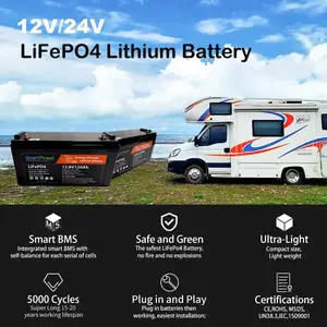 Carrito de Golf eléctrico con batería Lifepo4, 12V, 120Ah, 100Ah, 200Ah, Lifepo4, cargador de batería