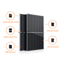 Module photovoltaïque monocristallin bifacial double vitrage entièrement noir 585W 590W 610W 120 cellules Panneaux solaires 21,56% d'efficacité DC1500V