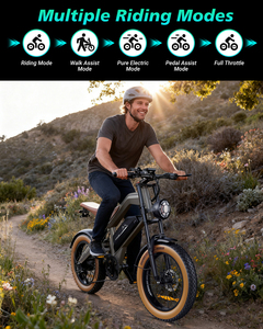 Nuovo Modello M20 1500W Bicicletta Elettrica da Città con Pneumatici Larghi, E-bike per Adulti - Product Image 2