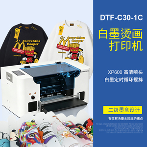 Nueva Impresora DTF de Inyección de Tinta A3 XP600 para Pequeñas Empresas, para Camisetas e Impresión de Tarjetas, con Tinta DTF y 1 Año de Garantía - Product Image 3