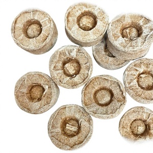 Disques de coco compressés pour la germination des graines et les pots de pépinière, substrat de culture sans tourbe, vente en gros - Product Image 5