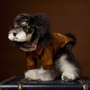 <span class=keywords><strong>Hot</strong></span> Selling Brown Luxus Hunde mäntel Haustier Kleidung Haustier Jacke Winterkleid ung für Hunde - Product Image 5