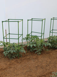 Cage de soutien pour plantes de tomates, structure grimpante en fer anti-chute, piquet multifonctionnel pour légumes, balcon et fleurs - Product Image 4
