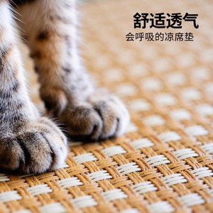 Dog bed, pet <b>cooling</b> <b>mat</b>, dog <b>cooling</b> pad, summer sleeping <b>mat</b> for Corgis and Bichons, summer rattan <b>mat</b>, <b>cat</b> bed <b>mat</b>. - Product Image 2