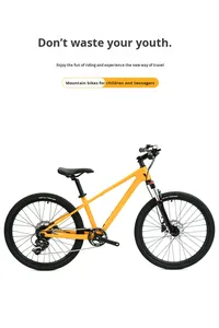 Bicicleta de Montaña RSD Ultraligera de 9 Velocidades con Cuadro de Fibra de Carbono, Frenos de Disco Hidráulicos, Manillar de Giro y Ruedas de Aluminio con Suspensión Delantera - Product Image 5