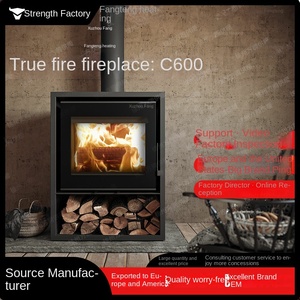 Innovadora Estufa de Leña con Fuego Real en una <span class=keywords><strong>Chimenea</strong></span> de Hierro Fundido, Eficiente y Moderna para Calefacción del Hogar - Product Image 3