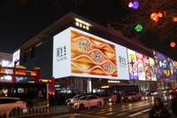 Panel de Módulo SMD para Exteriores de 320x160 mm con Brillo de 5000 cd, Garantía de 2 Años, CMS Basado en la Nube, RDM para Pantalla LED Publicitaria