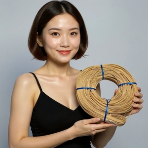 Reed 2Mm Tre Phẳng Sản Phẩm Tay Chiều Dài Nhựa Rơm Chuỗi Mây Mía Xuất Khẩu Lõi Palhinha Indiana Cho Nông Nghiệp - Product Image 1