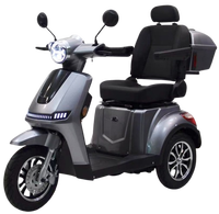 Scooter de mobilité pour personnes âgées, batterie amovible 30AH, charge 200kg, conduite électronique facile, sécurité, 25KM/H, moteur 1000W