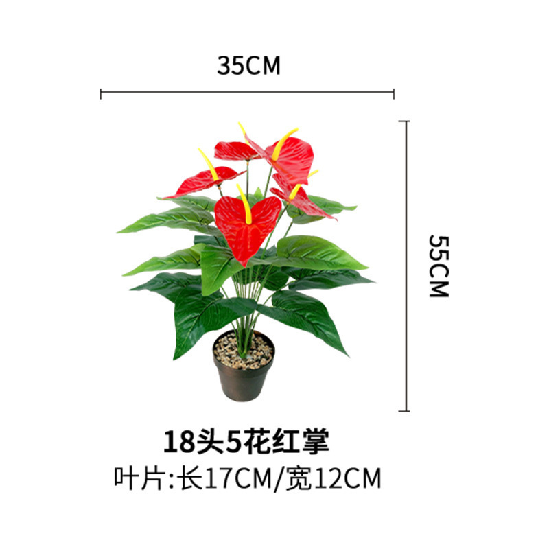 18 têtes, 5 fleurs, Anthurium (pot non inclus)