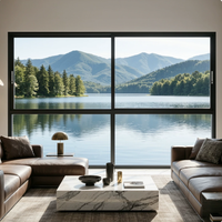 Fenêtre coulissante moderne avec moustiquaire magnétique intégrée et design à persiennes