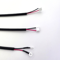 Nouvelle arrivée usine BatteryTtail faisceau de connexion de lumière câble électrique pour la nouvelle énergie et les véhicules