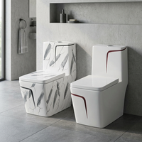 Toilette monobloc moderne en céramique avec lignes décoratives noires-Piège S/P, fabriqué en Chine, articles sanitaires de salle de bain WC