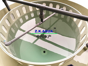 Incubateur pour poissons-chats, réservoir d'incubation autonettoyant, seau d'éclosion de poissons - Product Image 5