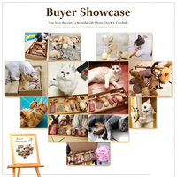Kit de jeu interactif pour chat 7-en-1 : Boîte cadeau hebdomadaire avec baguette à plumes et jouet résistant aux morsures pour chats domestiques
