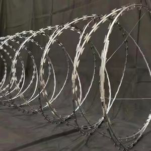 Alambre de Púas de Acero Inoxidable Galvanizado en Caliente, Superficie de Exportación BTO22 65, Jaula de Alambre de Púas, Línea de Borde, Malla de Alambre de Púas - Product Image 1