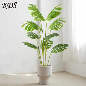 Simular plantas con respaldo de tortuga árbol plantas en maceta ornamento Sham Tree Strelitziaceae <span class=keywords><strong>Chrysalidocarpus</strong></span> <span class=keywords><strong>Lutescens</strong></span> fábrica al por mayor - Product Image 4