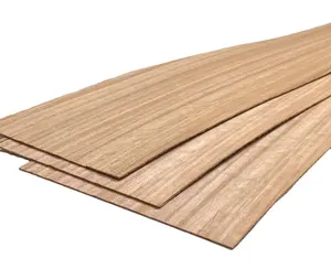 Mdf Laminated Board Eukalyptus Furnier platte Holz furnier Face Sheet für Sperrholz Film beschichtetes Sperrholz, hochwertiger Eukalyptus kern