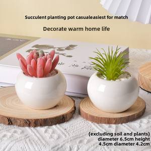 Vaso in Ceramica Smaltata Grande per Piante <span class=keywords><strong>Succulente</strong></span>, Ornamento Decorativo Creativo per la Casa - Product Image 3