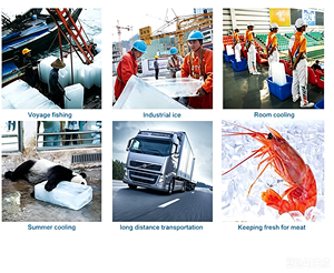 Máquina profesional para hacer hielo en cubos con compresor Bitzer, fabricada en China, para fábrica de hielo en tubos/hielo fresco de mariscos. - Product Image 3