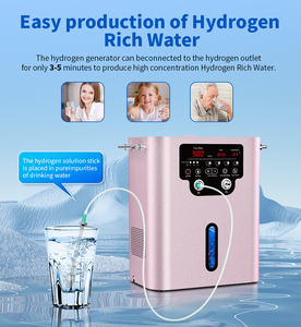 Électrolyseur Oxy-Hydrogène PEM <span class=keywords><strong>pour</strong></span> inhalation à vendre, kit inhalateur oxygène, générateur d'hydrogène et d'oxygène PEM, inhalateur 900 ml - Product Image 3