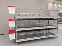 Cage à poulets de type H, neuve, à 3 niveaux et 2 portes, pour 60 oiseaux, avec système d'abreuvement automatique, fabriquée en Chine