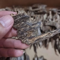 Uzun Bir Gün Sonunda Dinlenin %100 Doğal Yakılan Agarwood Tütsü Çubukları (Ahşap) Esansiyel Yağ Severler İçin - Vietnam Tütsüsü Her Mevsim Kullanım İçin
