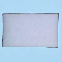 Pièce détachée pour imprimante CIJ, filtre à air BHN2109 pour la série CCS-R