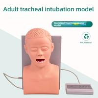 Modelo de entrenamiento de intubación traqueal para adultos Simulador electrónico de intubación traqueal humana con alarma de presión dental