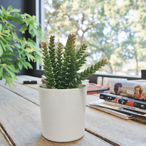 Pot de fleurs en céramique épaisse, écologique, durable et de grande valeur, design moderne et simple, droit, pour <span class=keywords><strong>la</strong></span> maison, le jardin et le salon - Product Image 1