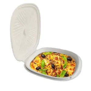 Bagasse Pizza Box biologisch abbaubare Pizza Papp teller 12 Zoll