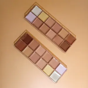 Paleta de fijación de largo uso, corrector de crema facial, 12 colores, muestra gratis