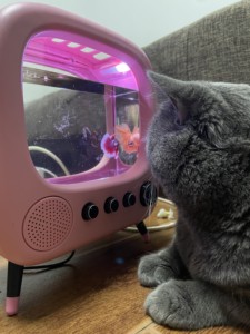 <span class=keywords><strong>Mini</strong></span> aquarium USB avec pierres et matériaux acryliques, éclairage inclus, pour la maison ou le bureau, pour chat - Product Image 4