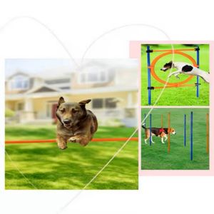 Kit de entrenamiento doméstico de agilidad de perro de plástico profesional, juego de obstáculos, vallas de salto, Aro y poste de tejido, KIT de entrenamiento básico al por mayor - Product Image 6