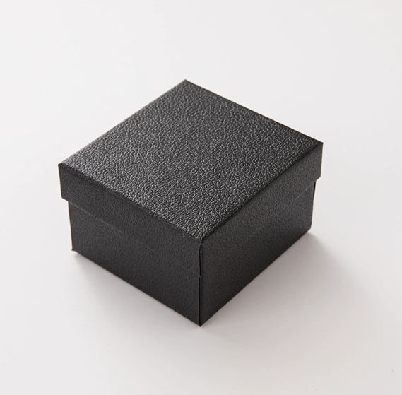 Boîte noire