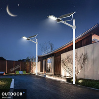 Lámpara Solar LED para Calle de 100W/150W, Personalizable, IP65, para Exteriores, Alto Lumen, Control Remoto, Carcasa de Aluminio Fundido a Presión