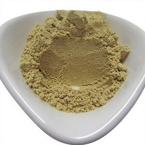 Poudre <span class=keywords><strong>de</strong></span> sarrasin <span class=keywords><strong>de</strong></span> Tartarie déshydratée, <span class=keywords><strong>substitut</strong></span> <span class=keywords><strong>de</strong></span> <span class=keywords><strong>repas</strong></span>, qualité alimentaire, pour la pâtisserie commerciale, vente en gros directe usine, en vrac - Product Image 1