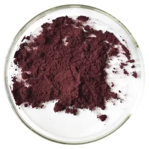 Chất lượng hàng đầu cây nham lê Chiết Xuất 25% anthocyanin; cây nham lê chiết xuất