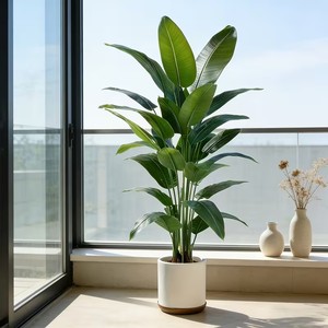 Un Gran Árbol de Plátano Artificial que Requiere Poco Mantenimiento, Hecho de Plástico, Apto para Uso en Interiores y Exteriores. - Product Image 5