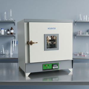 Incubateur bactériologique FBI61 avec alimentation 230V AC et variation de température de 0,1°C - Product Image 4