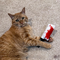 Jouet à mâcher pour chats en peluche en forme de couteau, résistant aux morsures, avec son crépitant, pour l'exercice intérieur et le jeu autonome, vente en gros d'usine, petite taille, Halloween