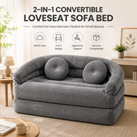 Sofá Cama Plegable de 2 Plazas, Envasado al Vacío, Relleno de Esponja Curvada, Tapizado en Tela, para Sala de Estar o Apartamento
