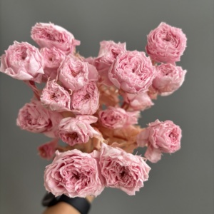 Lot en gros de 20 tiges/têtes de roses <span class=keywords><strong>éternelle</strong></span>s préservées par pulvérisation – Plus de 10 couleurs assorties, fleurs réalistes pour DIY, fleuristes et mariages - Product Image 2