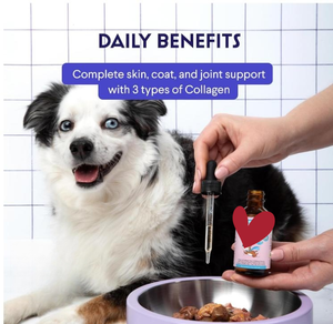 Collagène de qualité supérieure personnalisé pour chiens Soutien liquide pour la peau, le pelage, les hanches et les articulations avec acide hyaluronique et supplément de collagène pour animaux de compagnie - Product Image 2