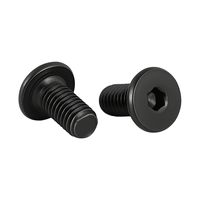 Vis de machine personnalisées à tête plate ultra-mince en acier inoxydable SS316 à oxyde noir, à tête cylindrique, pour boîtiers électroniques marins